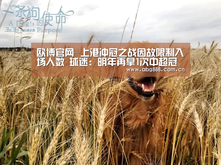 欧博官网-上港冲冠之战因故限制入场人数 球迷:明年再拿1次中超冠军!(图3) 欧博在线游戏官方平台