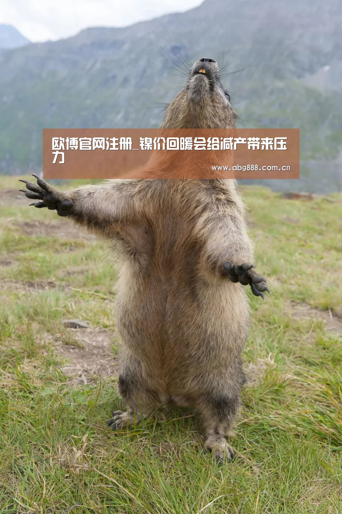 欧博官网注册_镍价回暖会给减产带来压力(图1) 欧博官网