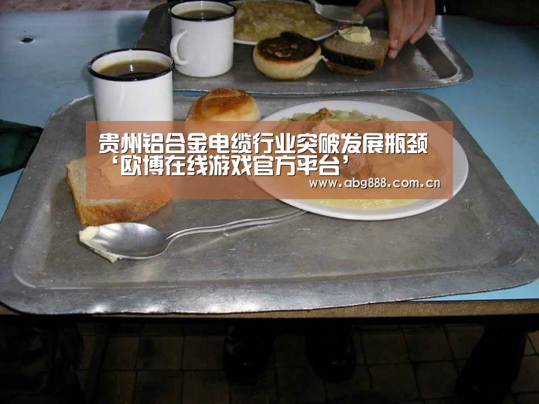 贵州铝合金电缆行业突破发展瓶颈‘欧博在线游戏官方平台’(图4) 欧博在线游戏官方平台