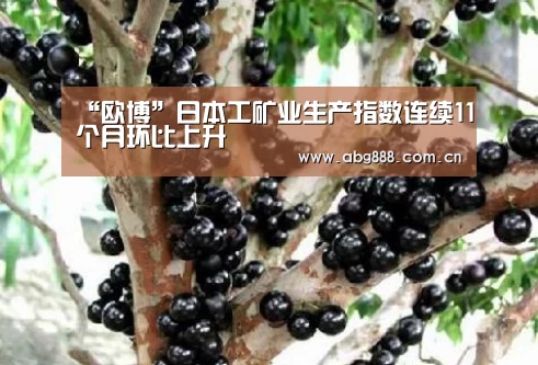 “欧博”日本工矿业生产指数连续11个月环比上升(图1) 欧博官网