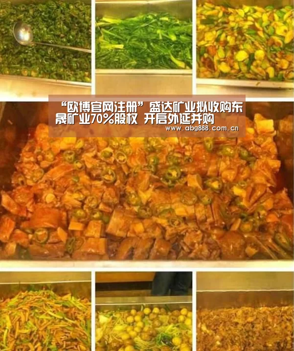 “欧博官网注册”盛达矿业拟收购东晟矿业70%股权 开启外延并购(图2) 欧博在线游戏官方平台