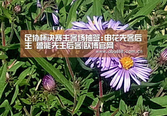 足协杯决赛主客场抽签:申花先客后主 鲁能先主后客|欧博官网(图2) 欧博在线游戏官方平台