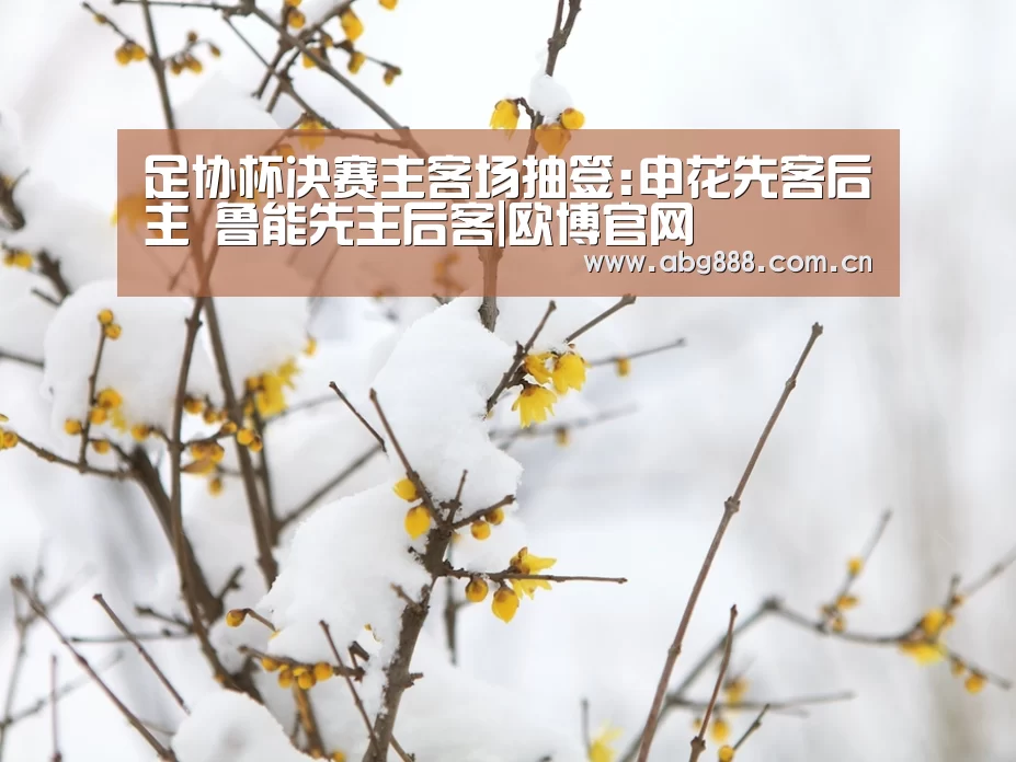 足协杯决赛主客场抽签:申花先客后主 鲁能先主后客|欧博官网(图1) 欧博官网注册