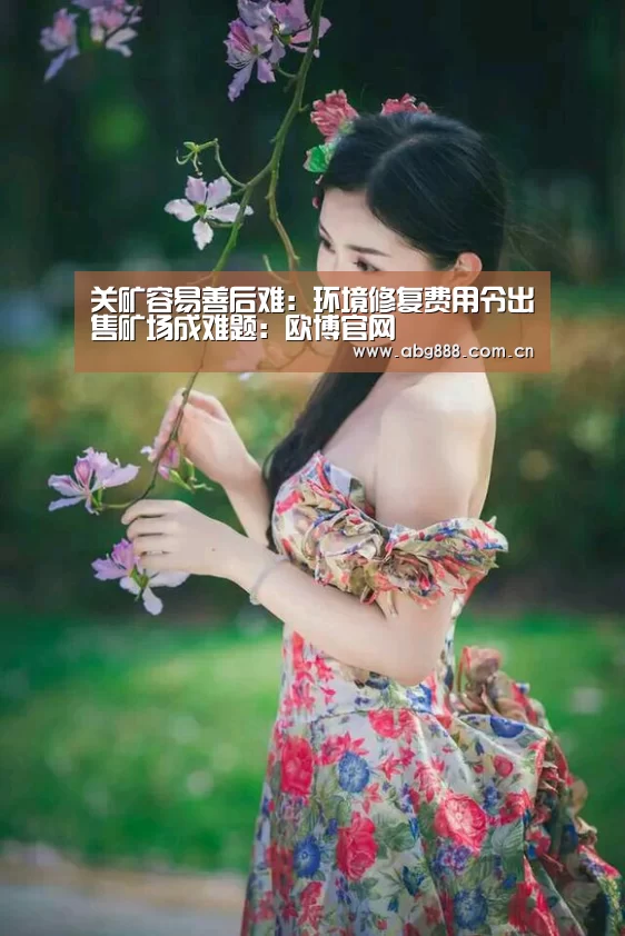 关矿容易善后难:环境修复费用令出售矿场成难题:欧博官网(图1) 欧博