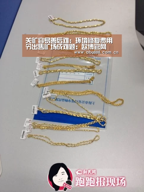 关矿容易善后难:环境修复费用令出售矿场成难题:欧博官网(图2) 欧博官网注册